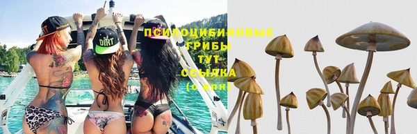 героин Елизово