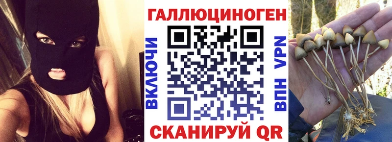 Псилоцибиновые грибы Psilocybine cubensis  Купить закладки  Чернушка 